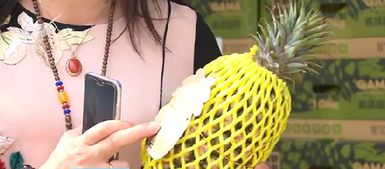 推動廈門高雄農漁產品采購協(xié)議落地 高雄特色農產陸續(xù) 登鷺